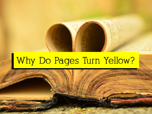 چرا کاغذ زرد میشود؟